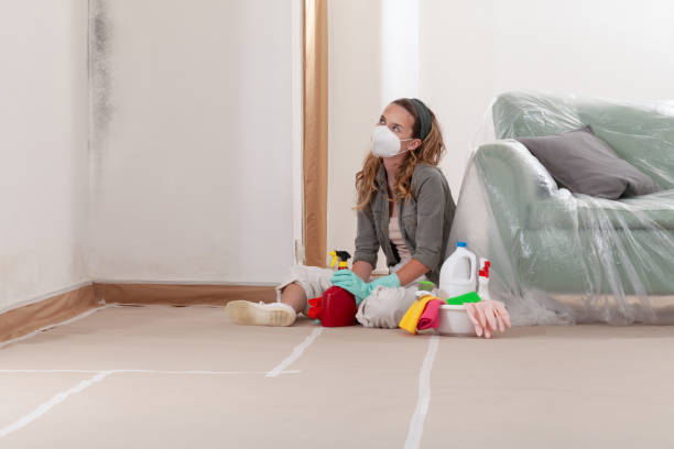 Reliable Mold Remediation contractor in Douglas, AZ by WQB Mold Removal